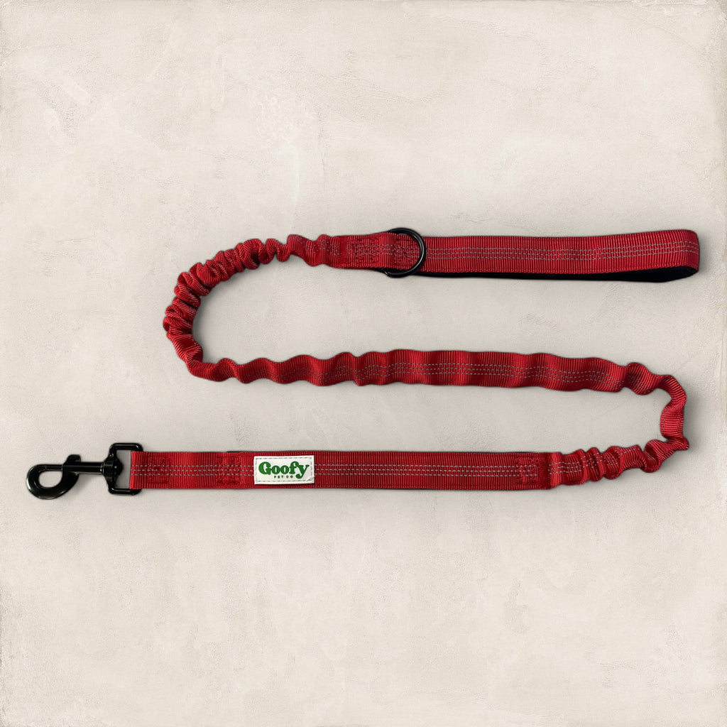 Leash