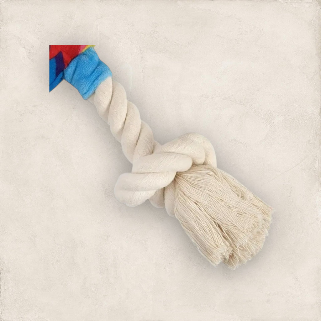 Snack Time Lollipop Plush Dog Toy