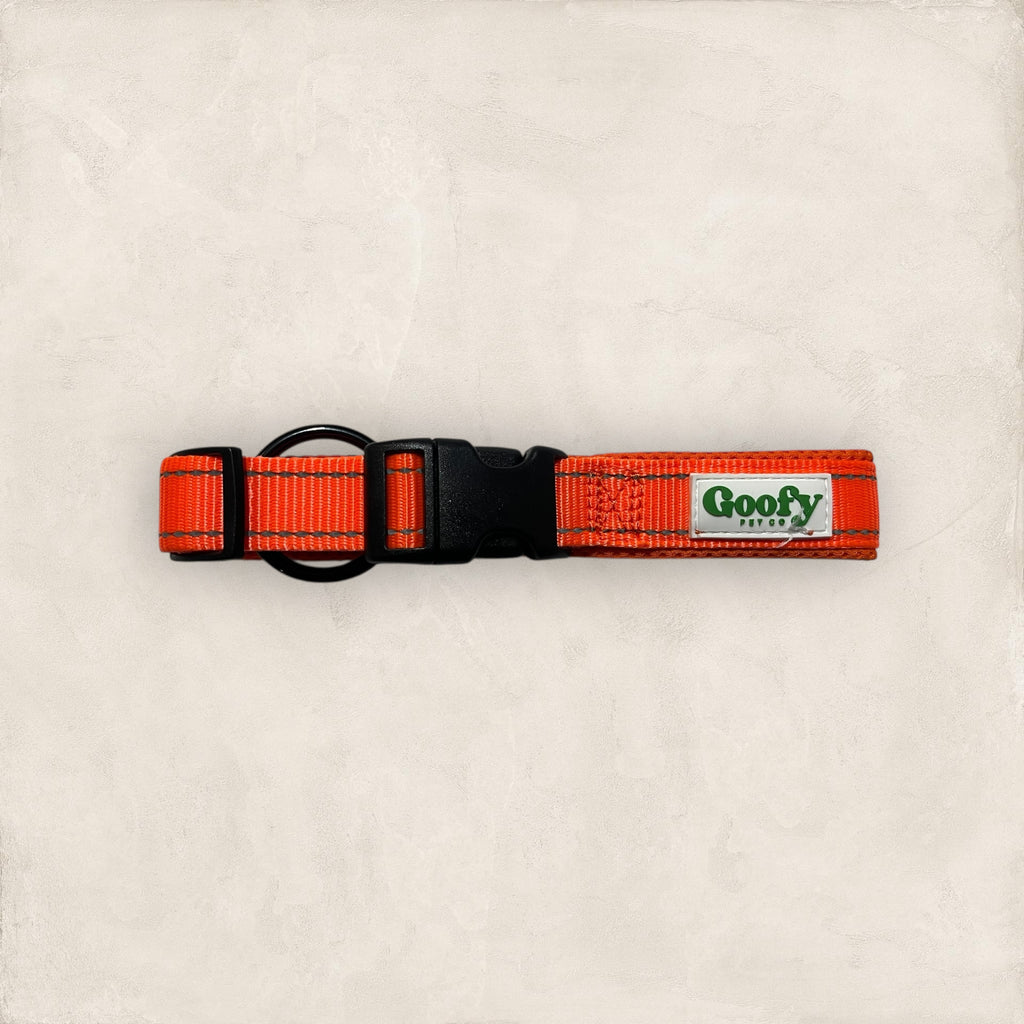 Dog Collar