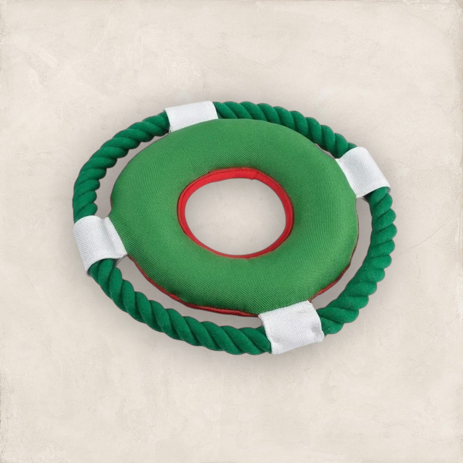 Snack Time Watermelon Flyer Dog Toy
