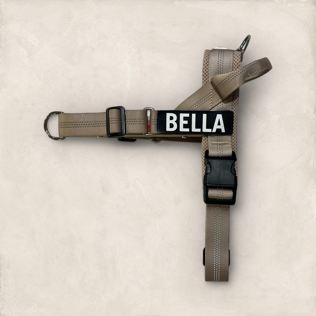 No Pull Dog Harness