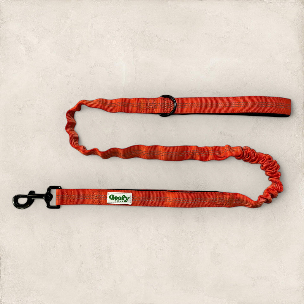 Leash