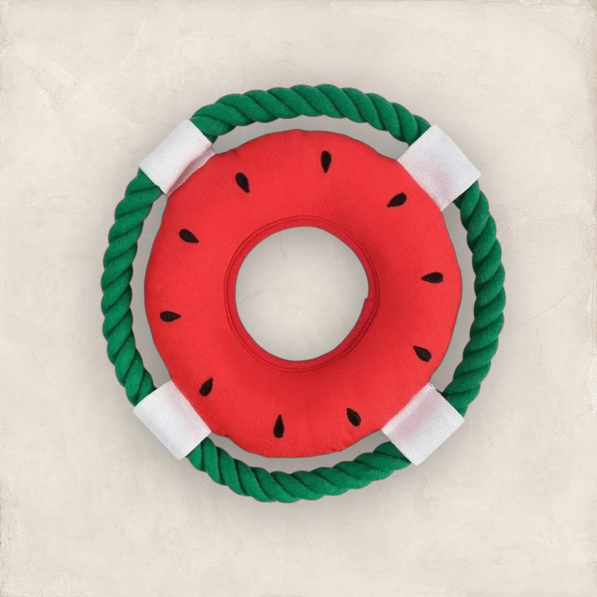 Snack Time Watermelon Flyer Dog Toy