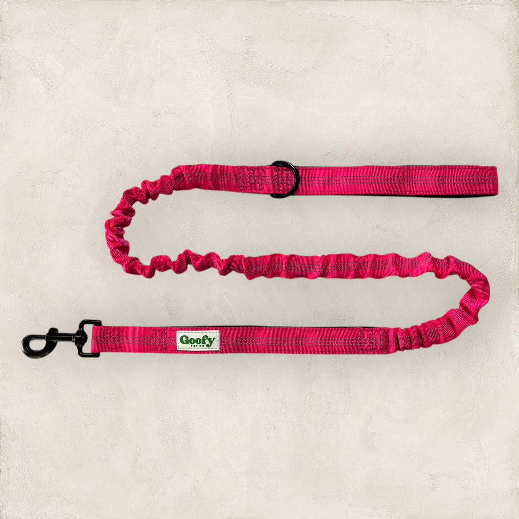 Leash