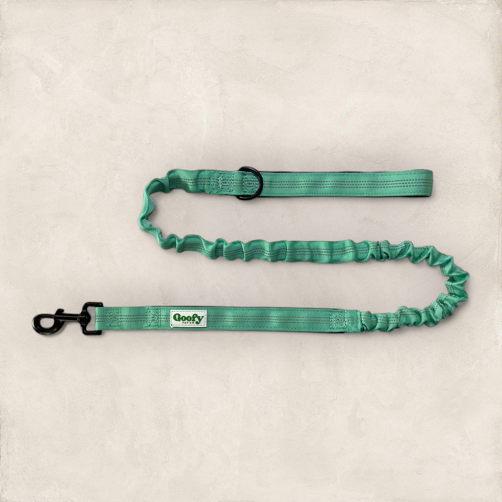 Leash