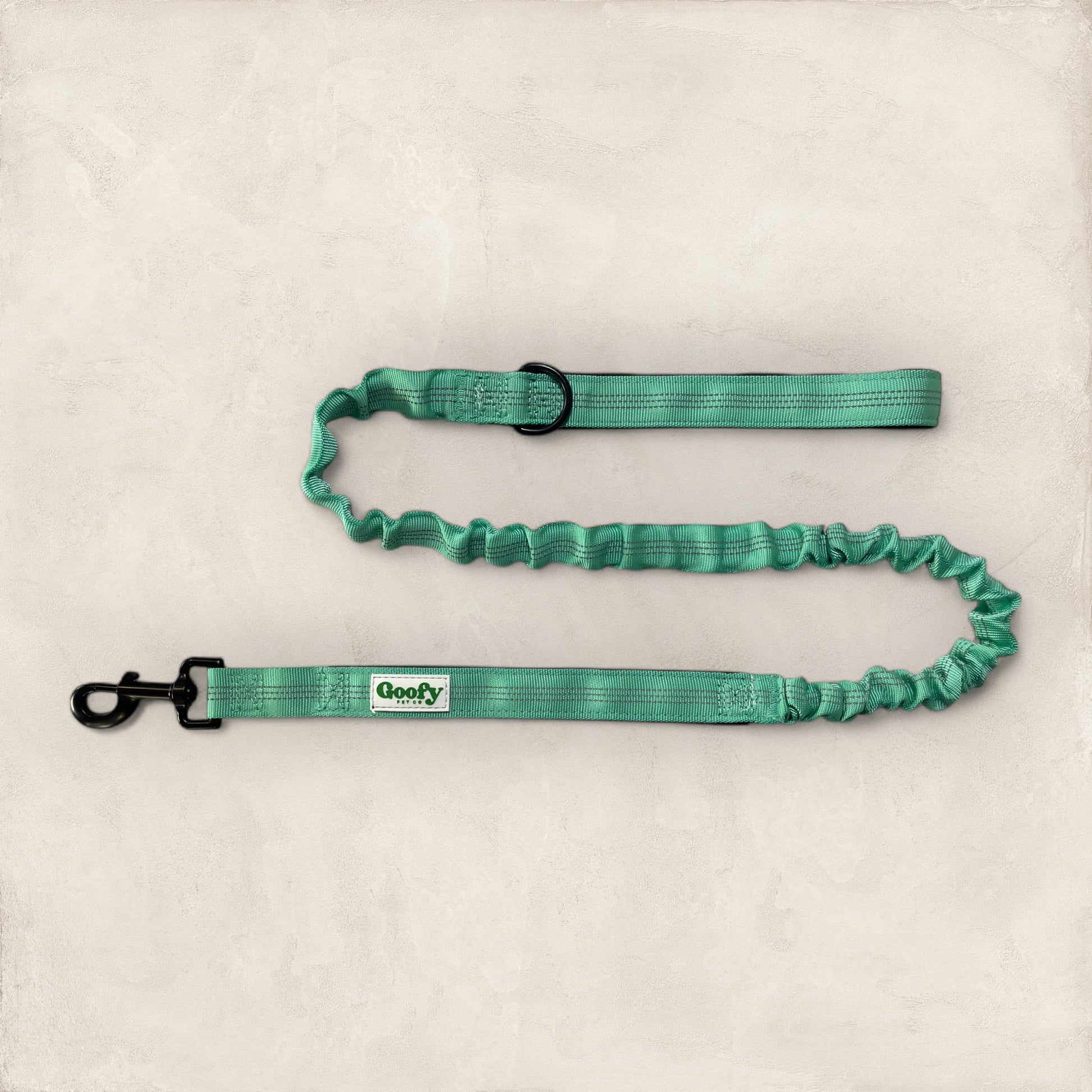 Leash