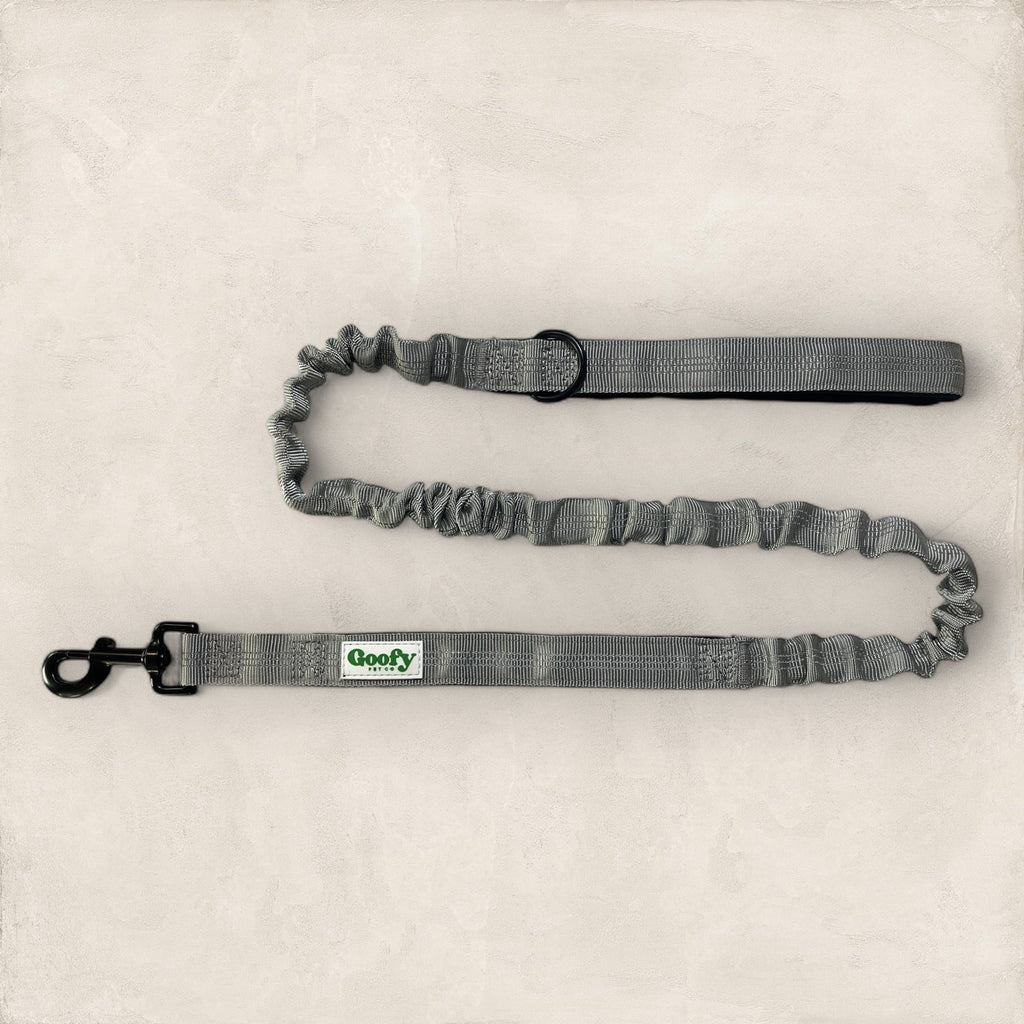 Leash