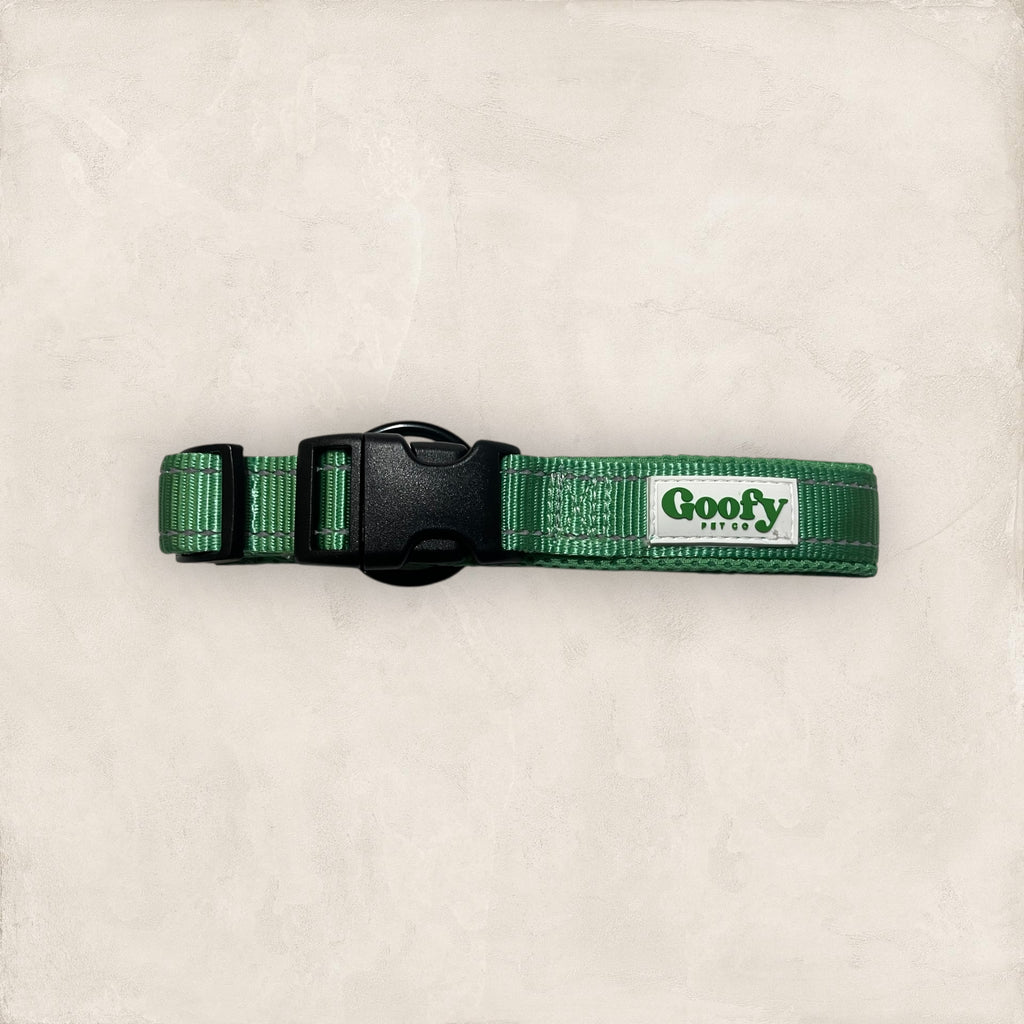 Dog Collar